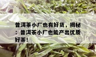 普洱茶小厂也有好货，揭秘：普洱茶小厂也能产出优质好茶！