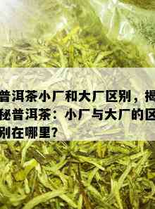 普洱茶小厂和大厂区别，揭秘普洱茶：小厂与大厂的区别在哪里？