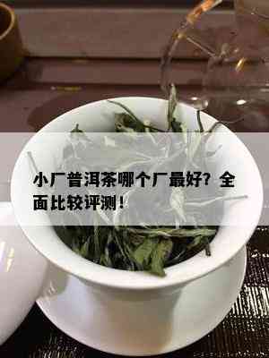 小厂普洱茶哪个厂更好？全面比较评测！