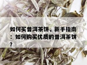 如何买普洱茶饼，新手指南：如何购买优质的普洱茶饼？