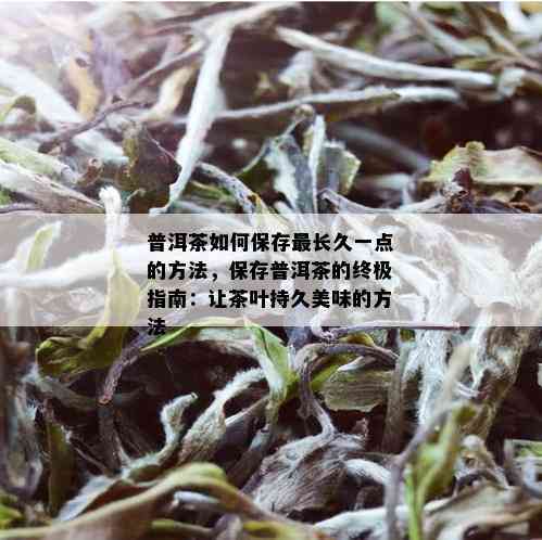 普洱茶如何保存最长久一点的方法，保存普洱茶的终极指南：让茶叶持久美味的方法