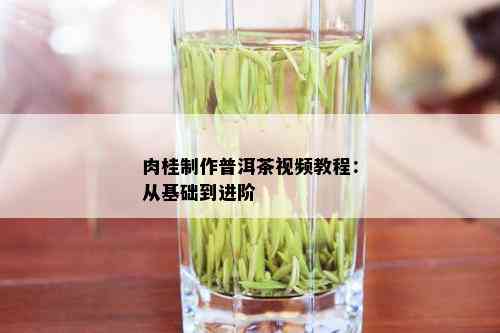 肉桂制作普洱茶视频教程：从基础到进阶