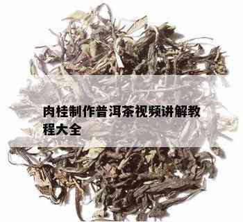 肉桂制作普洱茶视频讲解教程大全