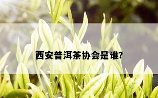 西安普洱茶协会是谁？