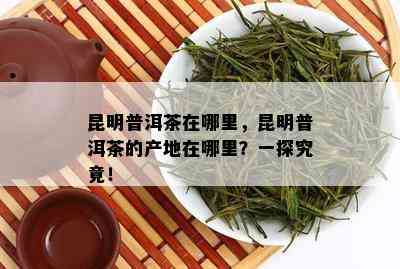 昆明普洱茶在哪里，昆明普洱茶的产地在哪里？一探究竟！