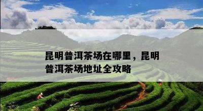 昆明普洱茶场在哪里，昆明普洱茶场地址全攻略