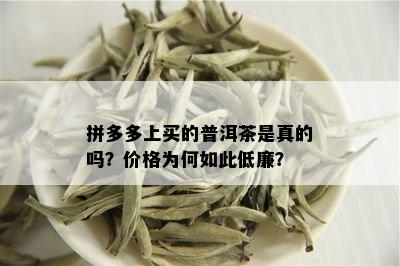 拼多多上买的普洱茶是真的吗？价格为何如此低廉？