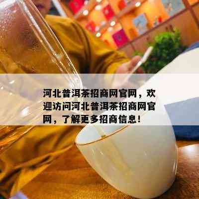 河北普洱茶招商网官网，欢迎访问河北普洱茶招商网官网，了解更多招商信息！