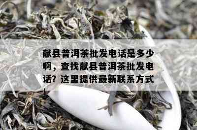 献县普洱茶批发电话是多少啊，查找献县普洱茶批发电话？这里提供最新联系方式！