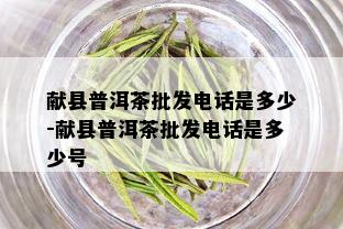 献县普洱茶批发电话是多少-献县普洱茶批发电话是多少号