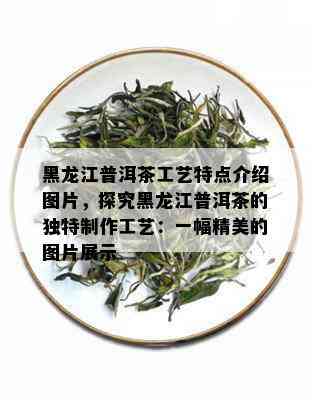 黑龙江普洱茶工艺特点介绍图片，探究黑龙江普洱茶的独特制作工艺：一幅精美的图片展示