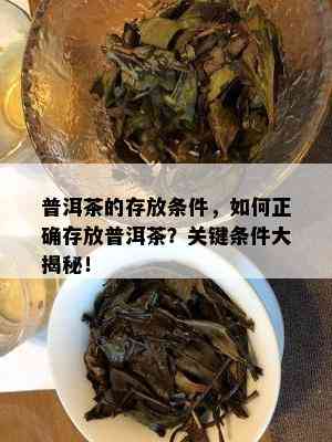 普洱茶的存放条件，如何正确存放普洱茶？关键条件大揭秘！