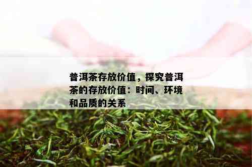 普洱茶存放价值，探究普洱茶的存放价值：时间、环境和品质的关系