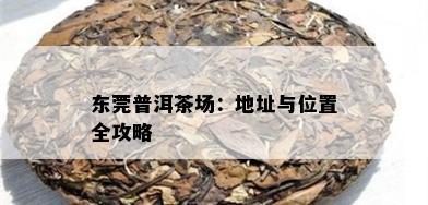 东莞普洱茶场：地址与位置全攻略