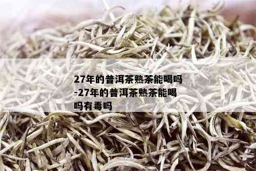 27年的普洱茶熟茶能喝吗-27年的普洱茶熟茶能喝吗有吗