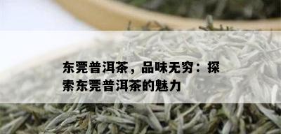 东莞普洱茶，品味无穷：探索东莞普洱茶的魅力