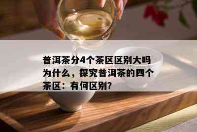 普洱茶分4个茶区区别大吗为什么，探究普洱茶的四个茶区：有何区别？