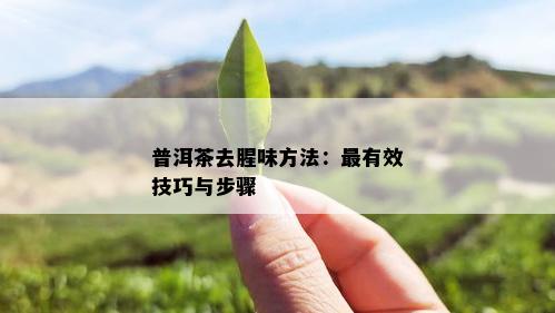 普洱茶去腥味方法：最有效技巧与步骤