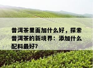 普洱茶里面加什么好，探索普洱茶的新境界：添加什么配料更好？