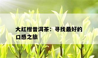 大红柑普洱茶：寻找更好的口感之旅