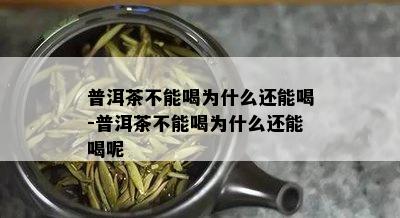 普洱茶不能喝为什么还能喝-普洱茶不能喝为什么还能喝呢