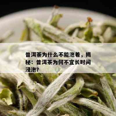 普洱茶为什么不能泡着，揭秘：普洱茶为何不宜长时间浸泡？