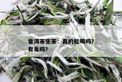 普洱茶生茶：真的能喝吗？有吗？