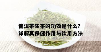 普洱茶生茶的功效是什么？详解其保健作用与饮用方法