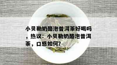 小贝勒奶酪泡普洱茶好喝吗，热议：小贝勒奶酪泡普洱茶，口感如何？