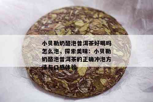 小贝勒奶酪泡普洱茶好喝吗怎么泡，探索美味：小贝勒奶酪泡普洱茶的正确冲泡方法与口感体验