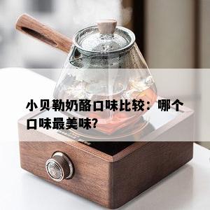 小贝勒奶酪口味比较：哪个口味最美味？