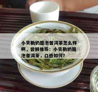 小贝勒奶酪泡普洱茶怎么样啊，尝鲜推荐：小贝勒奶酪泡普洱茶，口感如何？