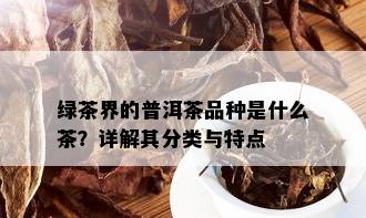 绿茶界的普洱茶品种是什么茶？详解其分类与特点