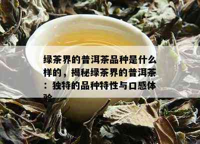 绿茶界的普洱茶品种是什么样的，揭秘绿茶界的普洱茶：独特的品种特性与口感体验