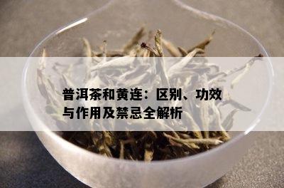 普洱茶和黄连：区别、功效与作用及禁忌全解析