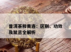 普洱茶和黄连：区别、功效及禁忌全解析