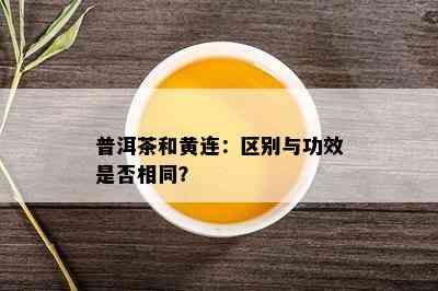 普洱茶和黄连：区别与功效是否相同？