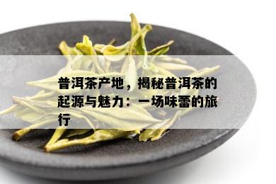 普洱茶产地，揭秘普洱茶的起源与魅力：一场味蕾的旅行