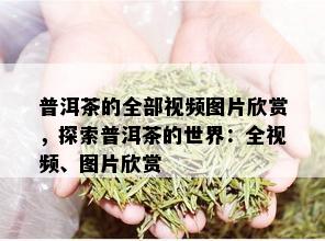 普洱茶的全部视频图片欣赏，探索普洱茶的世界：全视频、图片欣赏