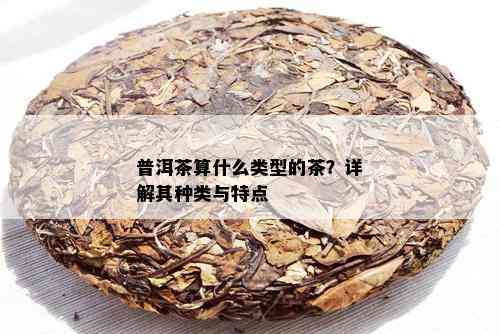 普洱茶算什么类型的茶？详解其种类与特点