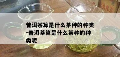 普洱茶算是什么茶种的种类-普洱茶算是什么茶种的种类呢