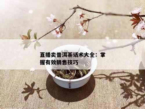 直播卖普洱茶话术大全：掌握有效销售技巧