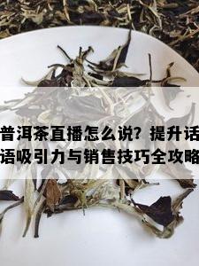 普洱茶直播怎么说？提升话语吸引力与销售技巧全攻略