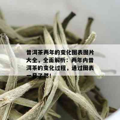 普洱茶两年的变化图表图片大全，全面解析：两年内普洱茶的变化过程，通过图表一目了然！