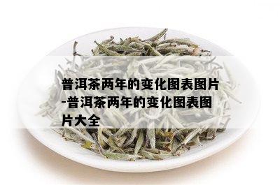 普洱茶两年的变化图表图片-普洱茶两年的变化图表图片大全