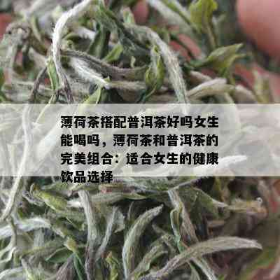 薄荷茶搭配普洱茶好吗女生能喝吗，薄荷茶和普洱茶的完美组合：适合女生的健康饮品选择