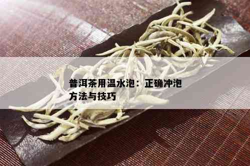 普洱茶用温水泡：正确冲泡方法与技巧