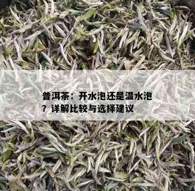 普洱茶：开水泡还是温水泡？详解比较与选择建议