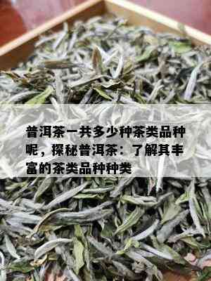 普洱茶一共多少种茶类品种呢，探秘普洱茶：了解其丰富的茶类品种种类