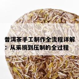 普洱茶手工制作全流程详解：从采摘到压制的全过程